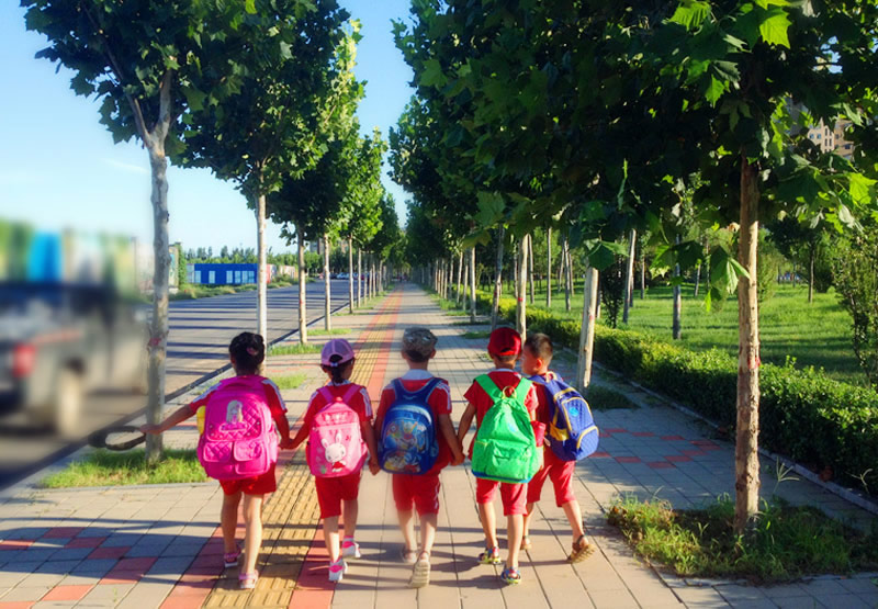 河北省孟村市卓越藝術(shù)幼兒園：挑戰(zhàn)勇敢之旅