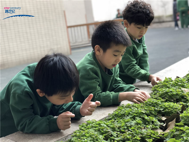 在體驗(yàn)中激發(fā)幼兒“愛護(hù)”環(huán)境的意識
