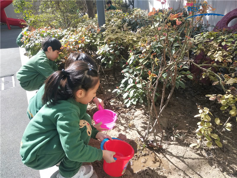 幼兒感恩心的培養(yǎng)，從愛護(hù)環(huán)境開始