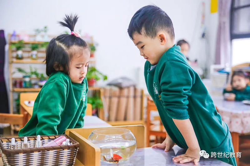 天吶，這所蒙氏幼兒園的孩子創(chuàng)造力太棒了！