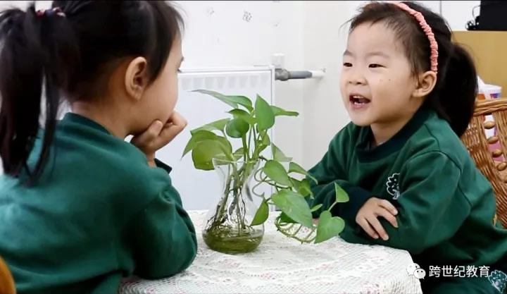 當(dāng)孩子之間發(fā)生爭(zhēng)執(zhí)，蒙特梭利幼兒園這樣做！