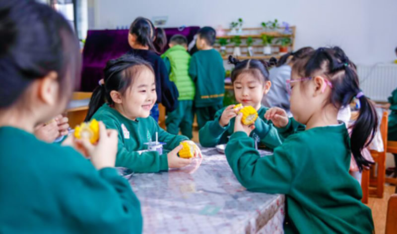 跨世紀(jì)蒙氏教育：孩子“判斷力”超強(qiáng)？這才是真正能干的人！
