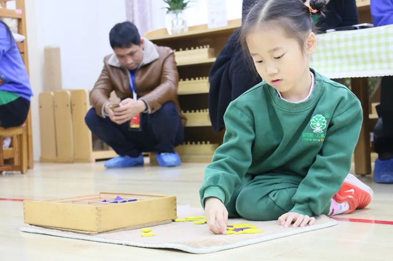 精彩！幼小銜接到底銜接什么？這場直播給了大家答案！