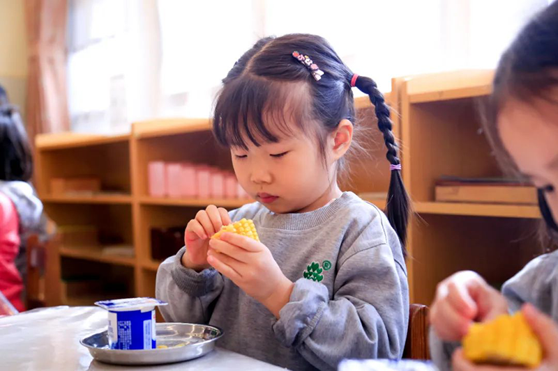 跨世紀(jì)蒙氏教育：孩子不好好吃飯，幼兒園老師應(yīng)該怎么做？