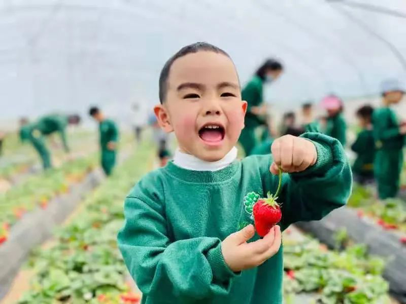 跨世紀(jì)教育幼兒園春游必看：孩子去哪了？