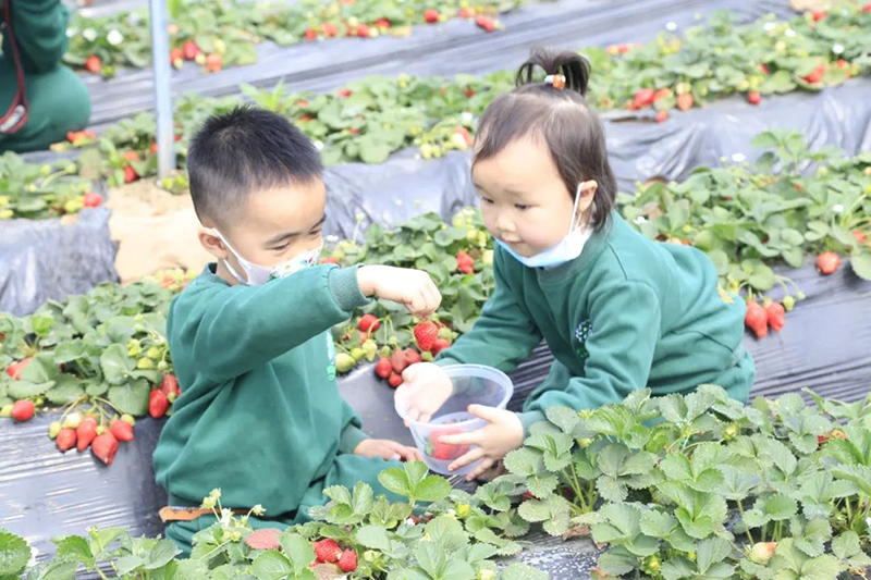 跨世紀教育：這所幼兒園家長看一次，就為孩子定了“三年”？這么厲害的嗎？