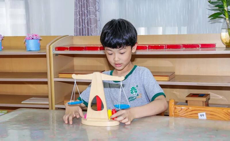 跨世紀(jì)蒙氏教育：蒙特梭利教師如何讀懂孩子的內(nèi)心，預(yù)備有準(zhǔn)備的環(huán)境？