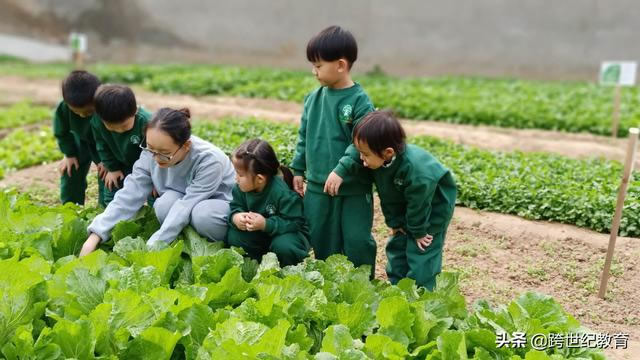 跨世紀蒙氏教育：幼兒園孩子身上不可忽視的敏感期（一）