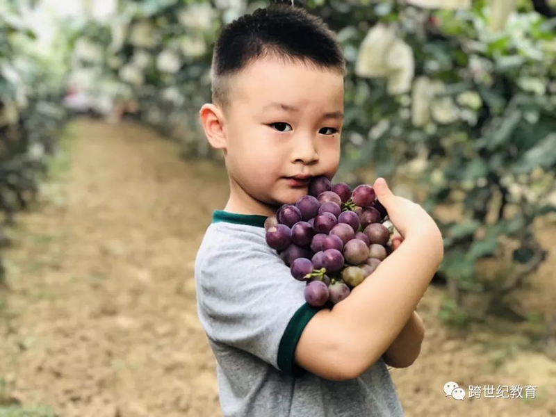 跨世紀蒙氏教育：如何提高孩子生活自理能力？