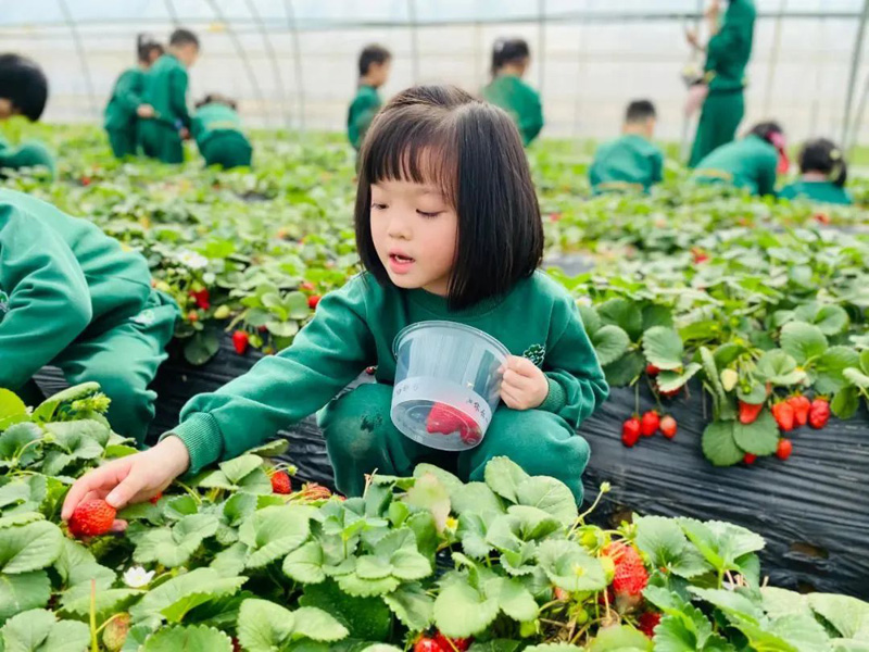 怎樣招聘，才能招到優(yōu)秀的幼兒園老師？