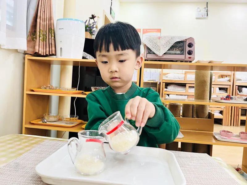 幼兒園聯(lián)盟失敗的原因有哪些？
