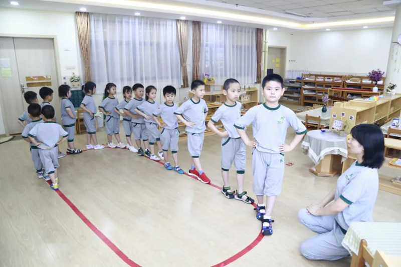 幼兒園聯(lián)盟跨世紀能夠提供哪些支持和服務(wù)？