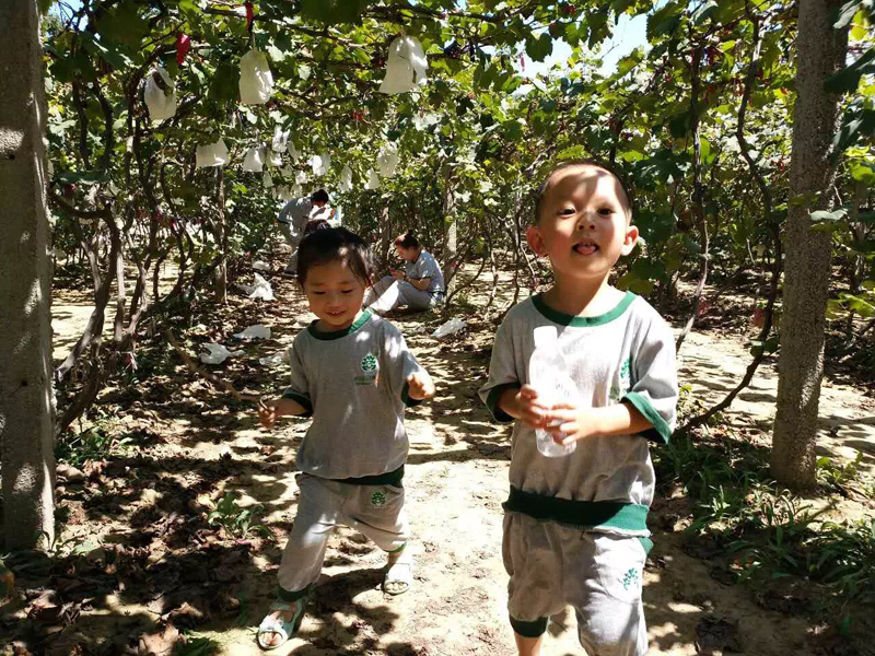 關于蒙特梭利幼兒園，你所不知道的事情