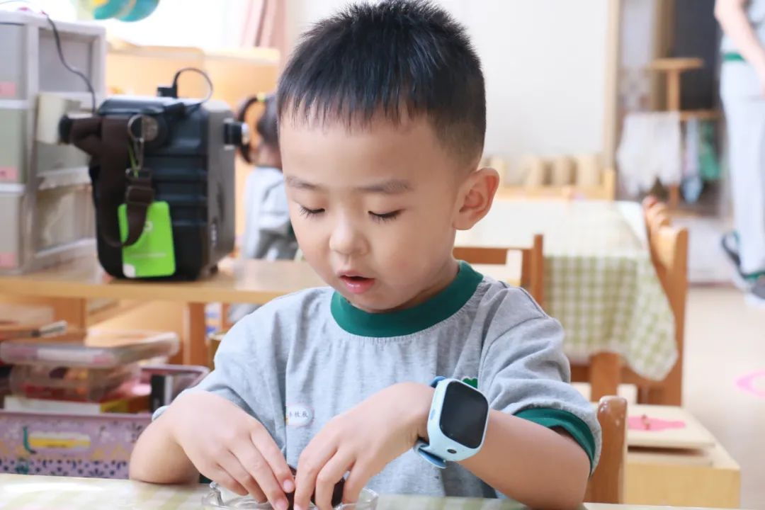 蒙氏教育：幼兒常規(guī)培養(yǎng)計劃攻略，讓蒙氏班秩序井然！